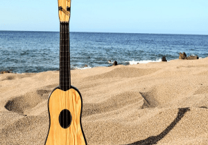 Live Music at Coconuts Beach Bar & Grill