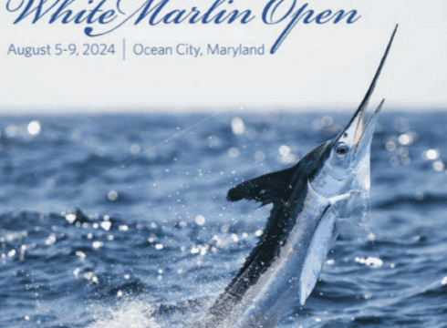 53rd Annual White Marlin Open & MarlinFest 2026