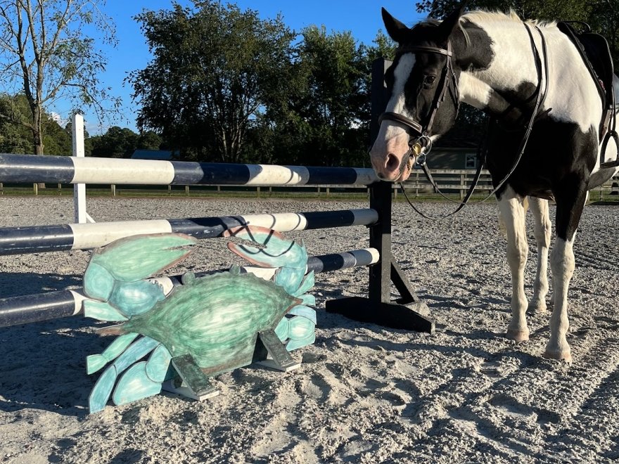 Bay Point Equestrian Center, LLC
