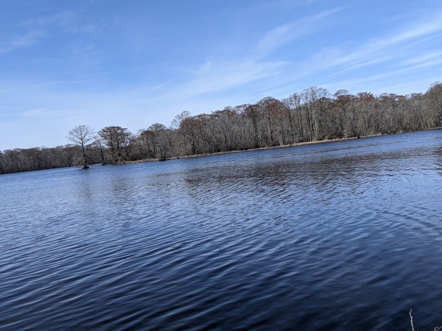 Pocomoke River State Park: Shad Landing