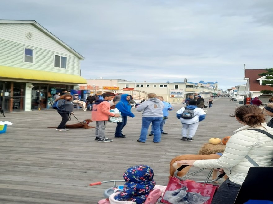 Doggie Style K9 Cafe