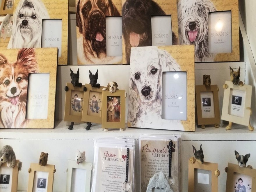 Doggie Style K9 Cafe