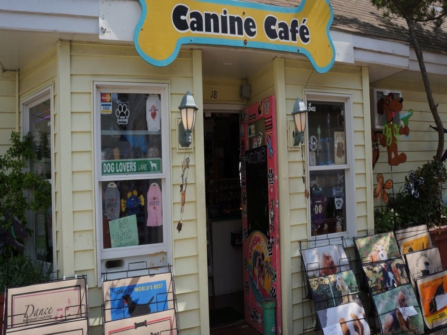 Doggie Style K9 Cafe