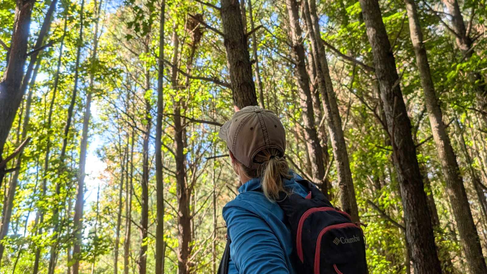 Birding on Maryland's Coast
