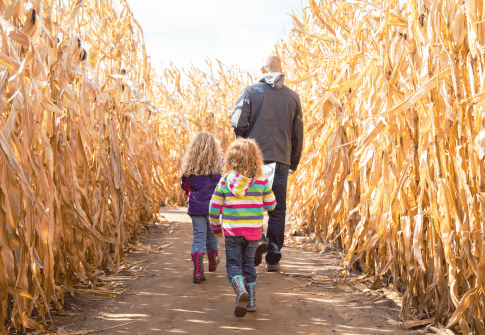Pumpkin Picking and Fall Festivals Near Ocean City, MD
