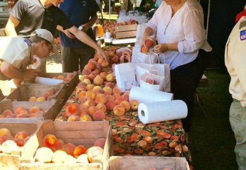 A Foodie’s Guide to August on Maryland’s Coast: Peaches, Corn, and Coastal Harvests